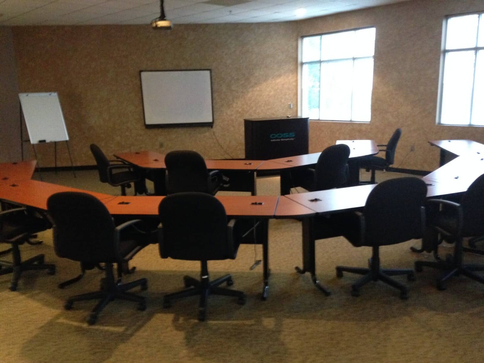 Professional training and presentation room